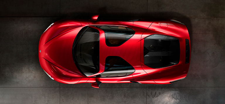 Carbon-fibre and aluminium roof